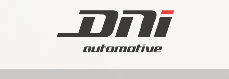 Logo DNI